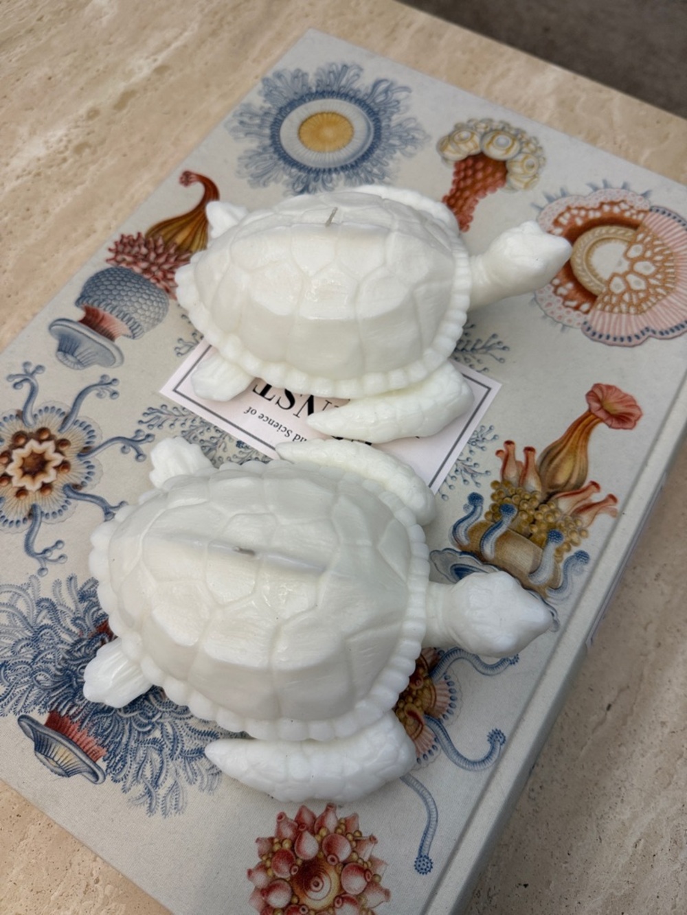 Two white pottery barn turtle decorative candles - Picture 2 of 5
